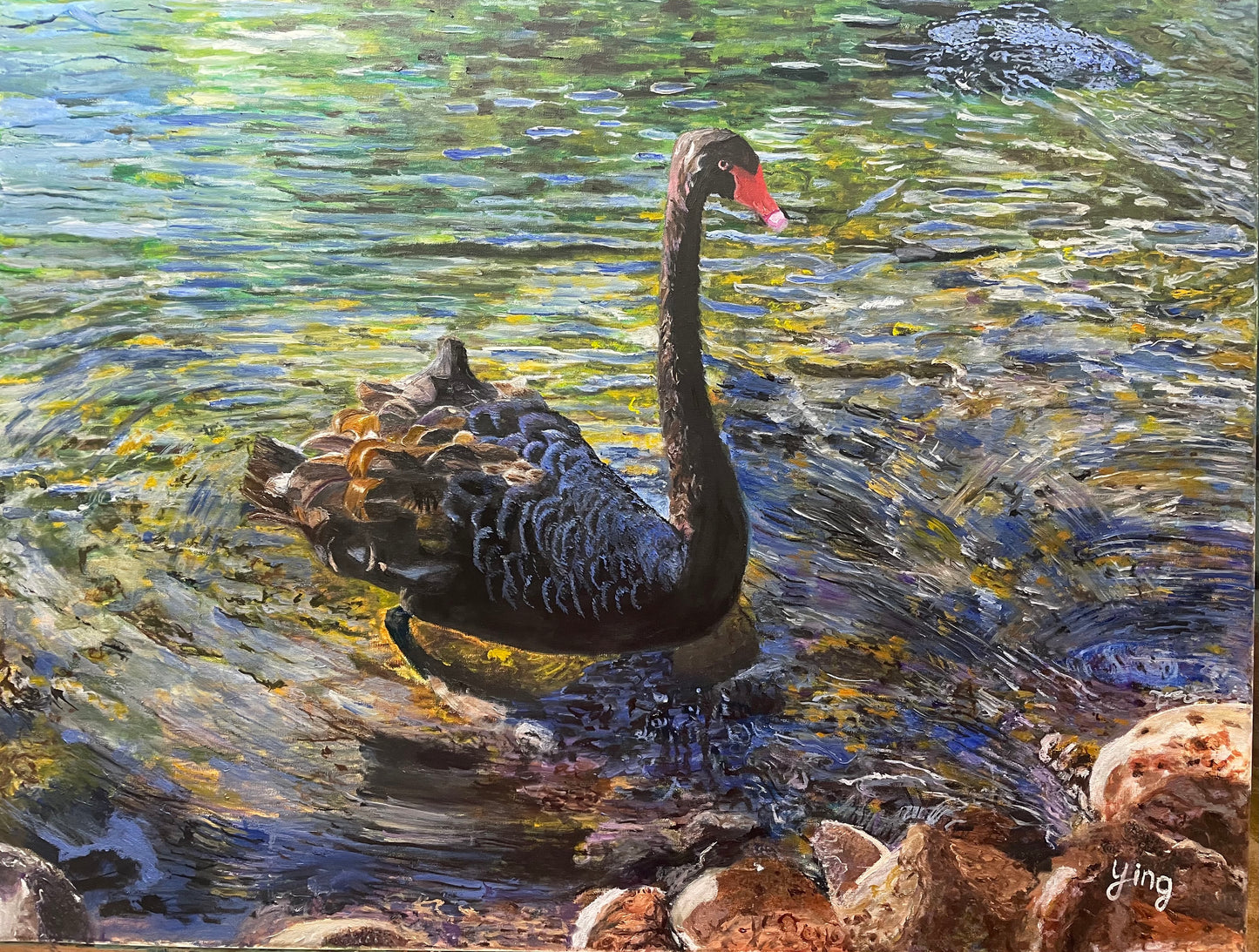 Black Swan Painting