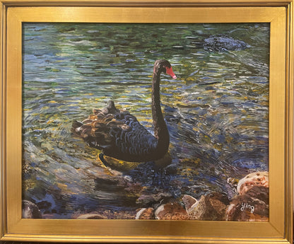 Black Swan Painting