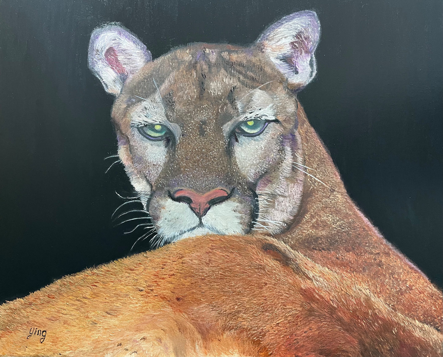 Mountain Lion Painting